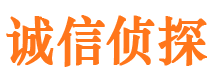 珙县市调查公司